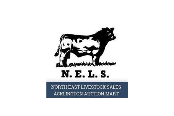 North East Livestock